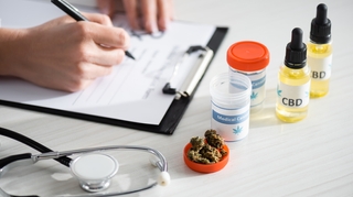 Maroc : le projet de légalisation du cannabis avance