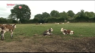 Fabrication du lait en poudre : un processus très contrôlé