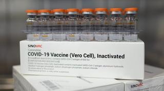 L'Algérie veut accélérer son projet de production de vaccins anti-Covid