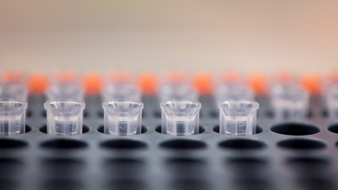 Le séquençage du virus est important pour contrôler l'épidémie (photo d'illustration)