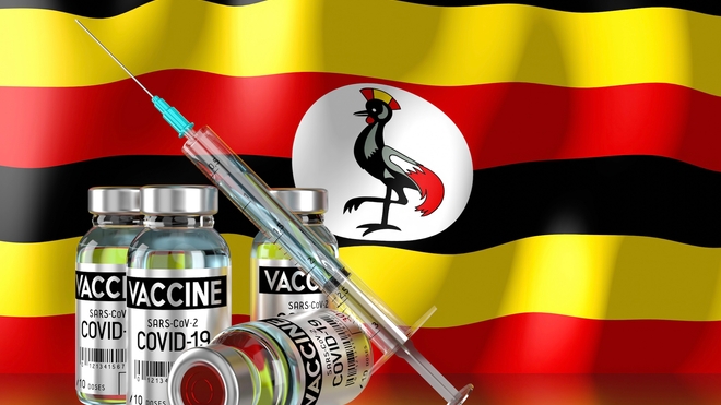 Des médecins mal intentionnés ont trompé des patients en leur injectant de faux vaccins contre le Covid-19 (Image d'illustration)