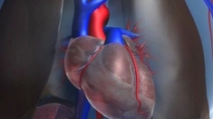 Bientôt un coeur humain fabriqué avec une imprimante 3D ?