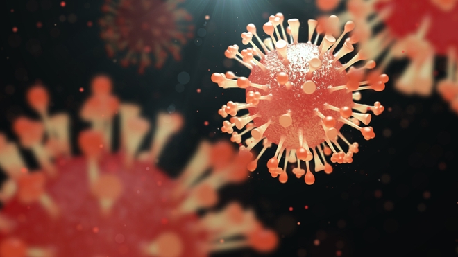 Illustration du virus de la grippe saisonnière