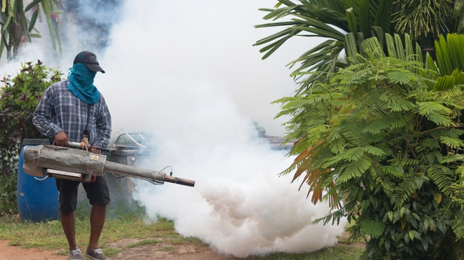 La campagne de démoustication est prévue jusqu'au 9 juillet en Côte d'Ivoire (photo d'illustration)