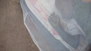 Eave Tube : une nouvelle arme contre le paludisme en Côte d'ivoire ?