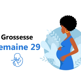 Suivez votre grossesse : la vingt-neuvième semaine !