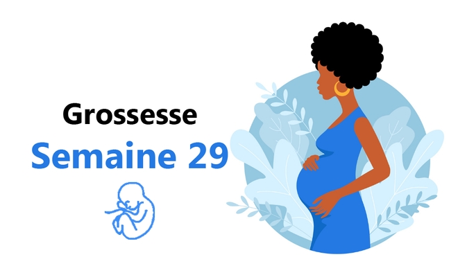 En cette vingt-neuvième semaine ton bébé a la taille d'un grand fruit à pain (photo d'illustration)