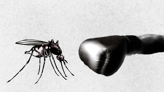 L'Algérie fait face au paludisme d'importation (photo d'illustration)