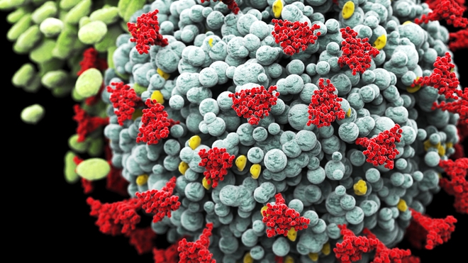 Les variants du coronavirus inquiètent en Afrique (photo d'illustration)