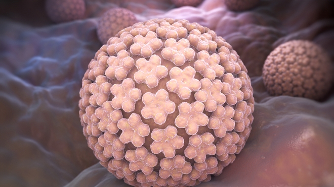Le papillomavirus humain (VPH) est l'une des éventuelles causes d'un cancer du col de l'utérus (Illustration)