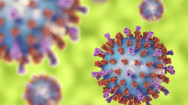 La bronchiolite est souvent causée par le virus respiratoire syncitial (Illustration)
