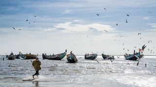Au Sénégal, une mystérieuse maladie attaque les pêcheurs
