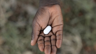 Cameroun : plus de 7 millions d’enfants touchés par des parasites