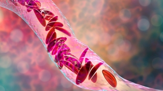 Coronavirus et drépanocytose : Tout ce qu'il faut savoir pour se protéger