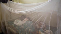 Maladie du sommeil : sur la voie de l'éradication