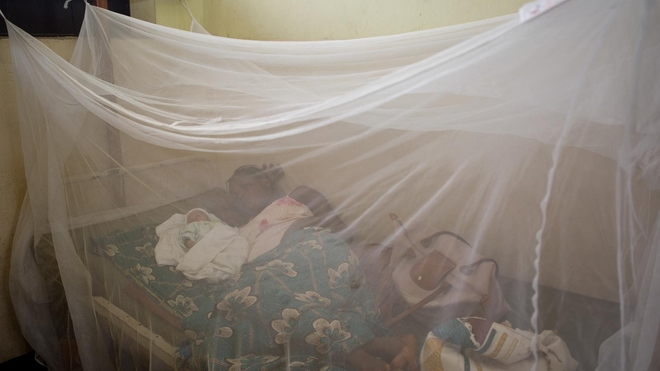 Le Togo est le premier pays africain à mettre fin à la maladie du sommeil comme problème de santé publique