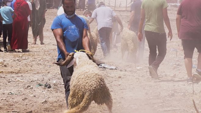 Dans la région de Casablanca, les autorités s'apprêtent à fermer Souk el Arbâa El Aounate