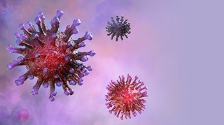 Coronavirus au Gabon : 600 contaminations évitées