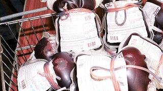 Coronavirus : face à la pénurie de sang, le Cameroun organise une grande collecte