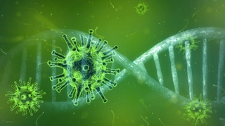 Coronavirus Covid-19 : Et si ce traitement contre le paludisme le soignait ?