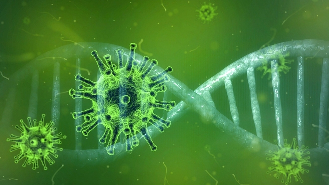 Pour le moment, aucun cas confirmé de coronavirus n'a été identifié au Cameroun (Illustration)