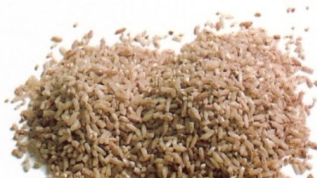 De l'albumine humaine issue du riz