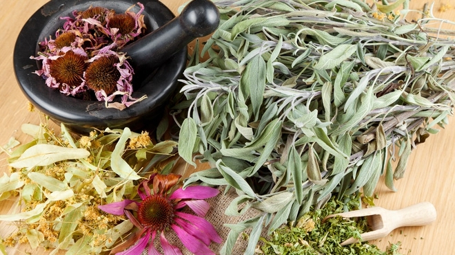 Au Cameroun, un archevêque estime que des plantes médicinales pourraient soigner le Covid-19 (photo d'illustration)