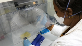 Coronavirus en Afrique : plus d'un million de tests distribués par le CDC-Africa
