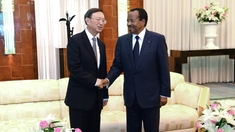 Coronavirus : le Cameroun offre 50 millions de Francs CFA à ses ressortissants bloqués en Chine
