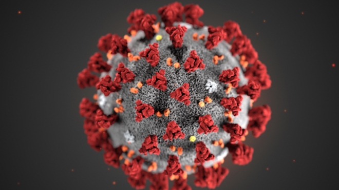 Au Cameroun, un premier cas de nouveau coronavirus a été confirmé (Illustration)