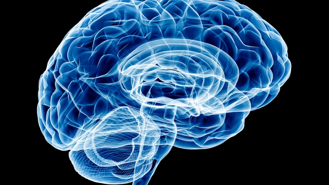 La méningite s'attache aux enveloppes qui protègent le cerveau et la moelle épinière (Illustration)