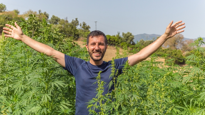 Au Maroc, plusieurs personnes plaident pour la légalisation du cannabis (Illustration)