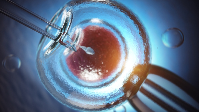 Le nombre de Fécondation in vitro pourrait augmenter au Maroc