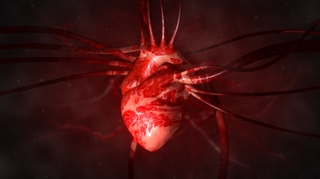 En Tunisie, les maladies cardiovasculaires tuent plus que tout