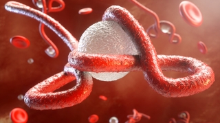 La RDC et ses voisins s'unissent contre Ebola