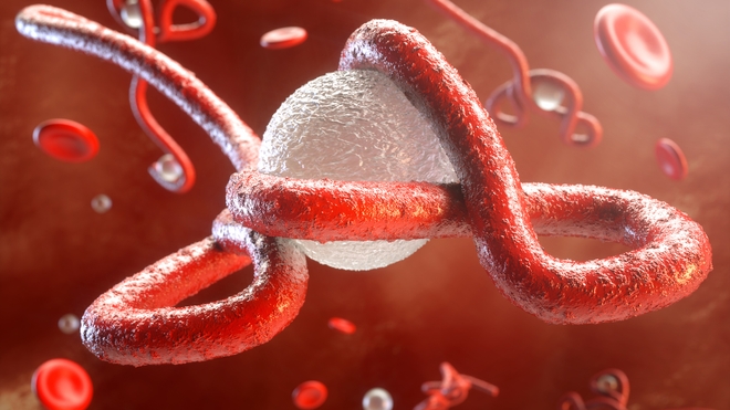 Le virus Ebola est l'agent infectieux qui provoque la maladie