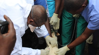 10 000 vaccins pour lutter contre la rage en Guinée
