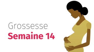 Suivez votre grossesse : la quatorzième semaine !
