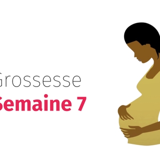 Suivez votre grossesse : la septième semaine !