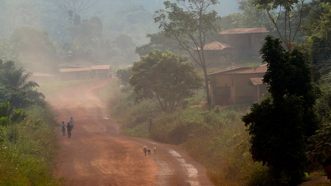 Une région forestière au Gabon (Illustration)