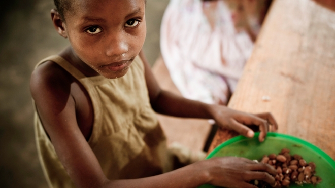 Quand le Niger rêve d'autosuffisance alimentaire !