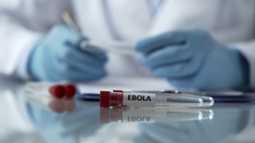 Nouveau traitement d'Ebola : Deux malades guérissent en RDC