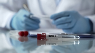 Nouveau traitement d'Ebola : Deux malades guérissent en RDC