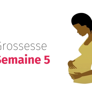 Suivez votre grossesse : la cinquième semaine !