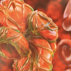 La thrombose veineuse
