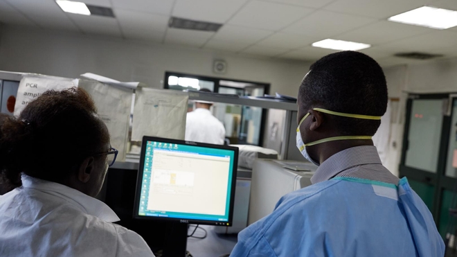 L’OMS déclare la fin de l’épisode de virus de Marburg en Guinée