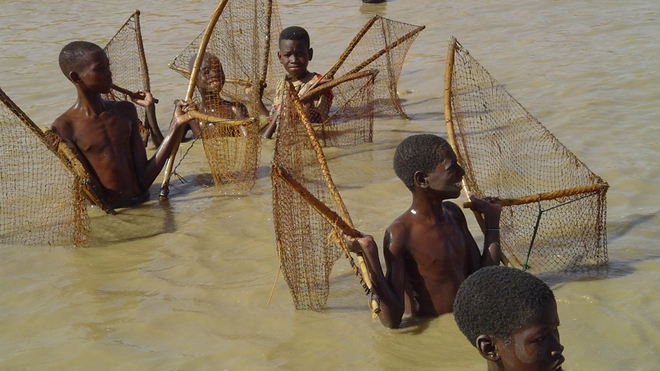 En général, les personnes qui développent la bilharziose ont été en contact avec de l'eau douce contaminée