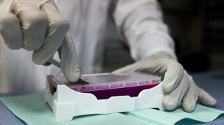 En manque de vaccins, l'Afrique pourrait devenir l'incubateur de nouveaux variants du Covid-19 