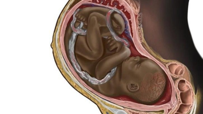 Pendant la grossesse, bébé évolue et grandit à une vitesse vertigineuse