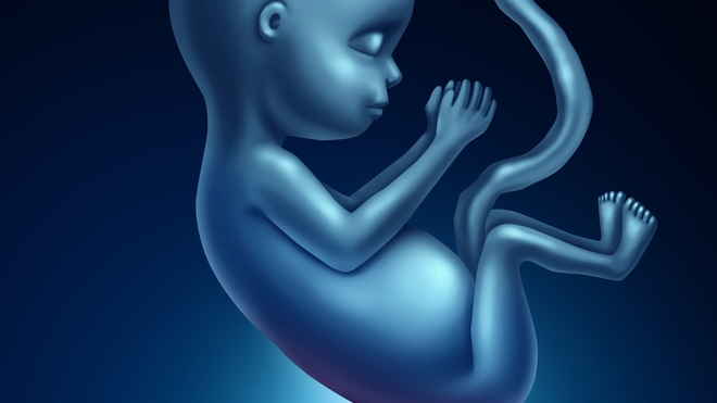 Le spina bifida est une malformation de la colonne vertébrale